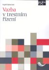 Vazba v trestním řízení